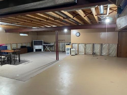 195 Seneca Place, Thunder Bay, ON - Indoor Photo Showing Basement