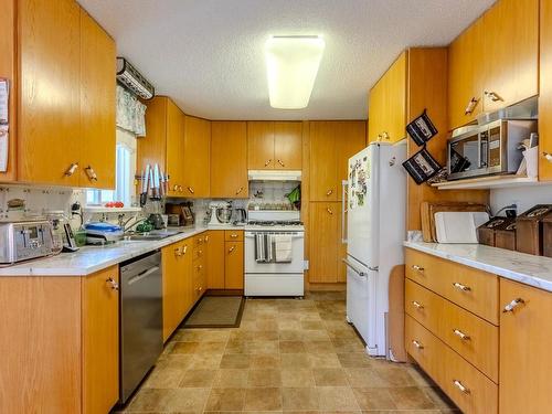 215 O'Connor Road, Kamloops, BC - Indoor Photo Showing Kitchen With Double Sink