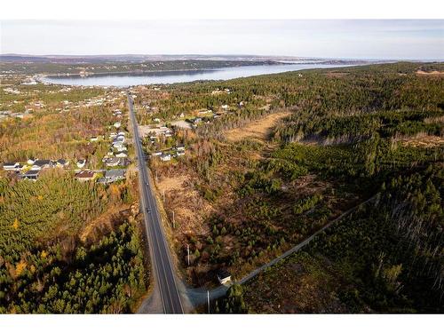 0 Foley'S Hill, South River, NL 