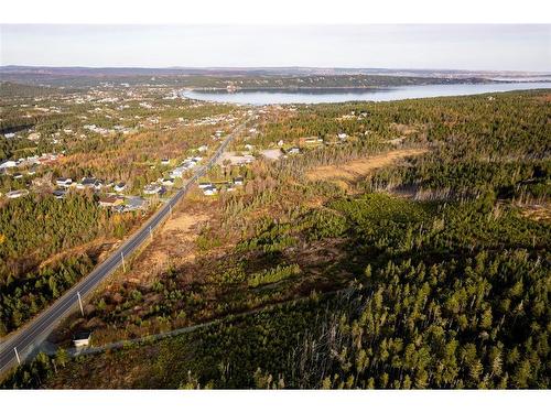 0 Foley'S Hill, South River, NL 