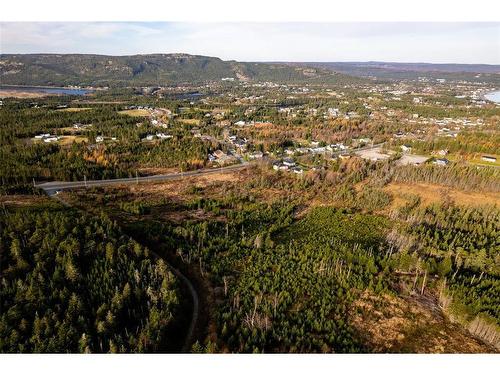 0 Foley'S Hill, South River, NL 