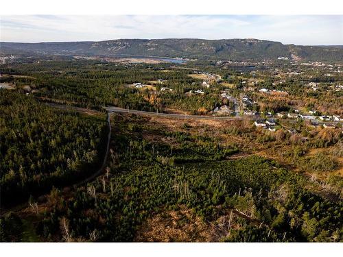 0 Foley'S Hill, South River, NL 