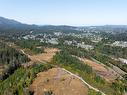 103 Lotus Pinnatus Way, Nanaimo, BC  - Outdoor With View 