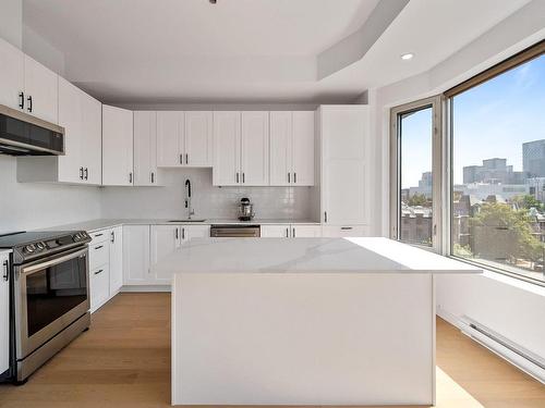 Cuisine - 501-405 Rue Sherbrooke E., Montréal (Le Plateau-Mont-Royal), QC - Indoor Photo Showing Kitchen With Upgraded Kitchen