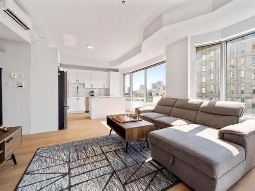 Salon - 501-405 Rue Sherbrooke E., Montréal (Le Plateau-Mont-Royal), QC - Indoor Photo Showing Living Room