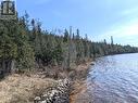 Part 11 Rr33 Trail From Pebble Road, Silver Water, Manitoulin Island, ON 