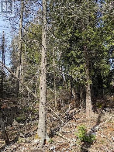 Part 57 Rr39 Pebble Road, Silver Water, Manitoulin Island, ON 