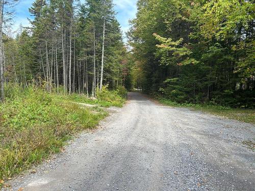 ExtÃ©rieur - Lac Mckenzie, Lac-Beauport, QC - Outdoor With View