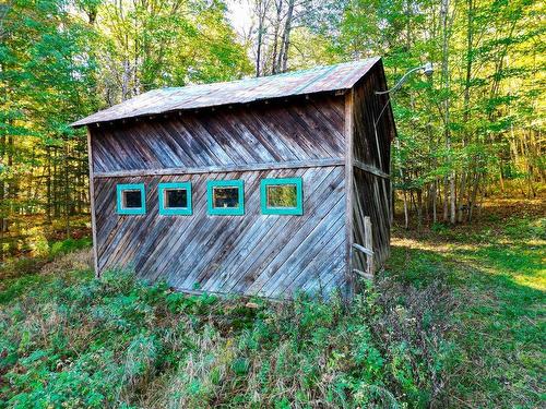 Barn - 466 Ch. Du Lac-Mercier, Mont-Tremblant, QC - Outdoor