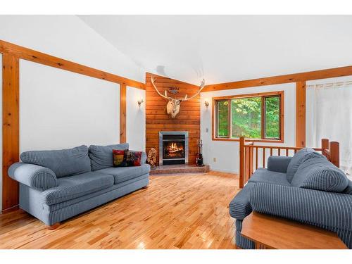 Living room - 466 Ch. Du Lac-Mercier, Mont-Tremblant, QC - Indoor Photo Showing Living Room With Fireplace