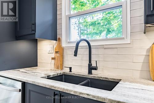 422 Bellevue Street, Peterborough (Northcrest), ON - Indoor Photo Showing Kitchen With Double Sink