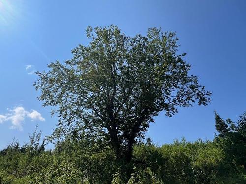 Land/Lot - Rang 6 Cap-Chat, Sainte-Anne-Des-Monts, QC 