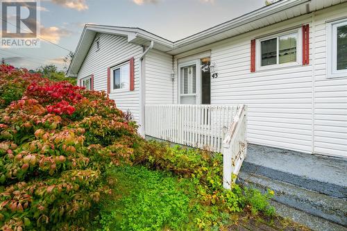 43 Cedar Drive, St. John'S, NL - Outdoor