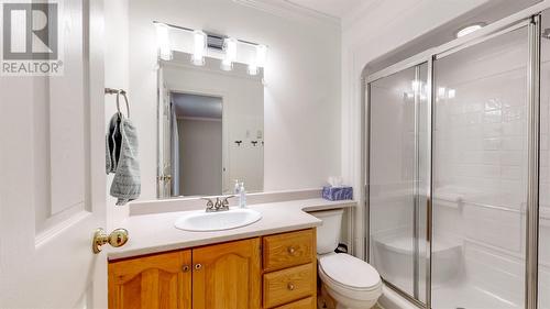 41 Huntingdale Drive, St. John'S, NL - Indoor Photo Showing Bathroom