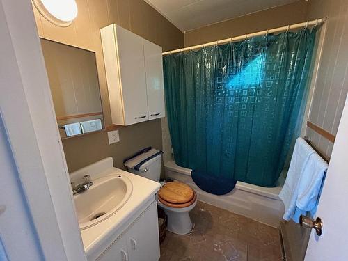 Salle de bains - 1037 Rue Boileau, Rivière-Rouge, QC - Indoor Photo Showing Bathroom