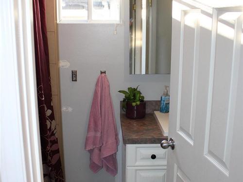 733 Ernestine Avenue, Thunder Bay, ON - Indoor Photo Showing Bathroom