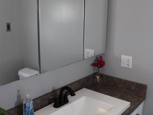 733 Ernestine Avenue, Thunder Bay, ON - Indoor Photo Showing Bathroom