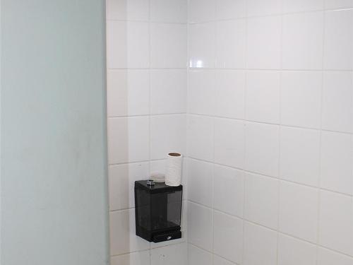 733 Ernestine Avenue, Thunder Bay, ON - Indoor Photo Showing Bathroom