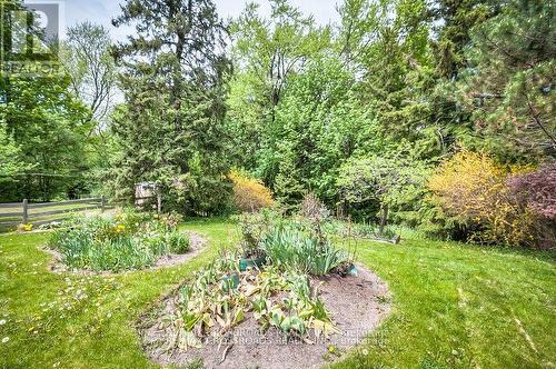 222 Northwood Drive, Toronto, ON - Outdoor