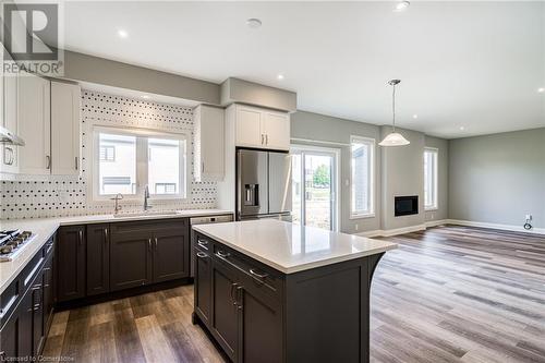 219 Klein Circle, Hamilton, ON - Indoor Photo Showing Kitchen With Double Sink With Upgraded Kitchen