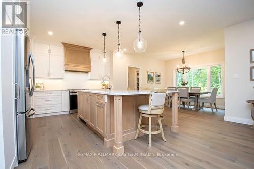 14 Rory Drive, Smith-Ennismore-Lakefield, ON - Indoor Photo Showing Kitchen With Upgraded Kitchen