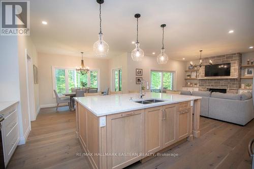 14 Rory Drive, Smith-Ennismore-Lakefield, ON - Indoor Photo Showing Kitchen With Fireplace With Double Sink