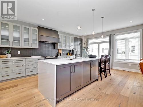 732 Brian Good Avenue, Ottawa, ON - Indoor Photo Showing Kitchen With Upgraded Kitchen