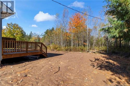 66 Slater Drive, Salisbury, NB - Outdoor