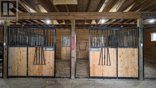 787517 Grey Rd 13 Road, Blue Mountains, ON - Indoor Photo Showing Basement