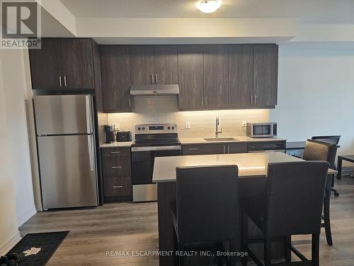 308 - 121 Highway 8 N, Hamilton, ON - Indoor Photo Showing Kitchen