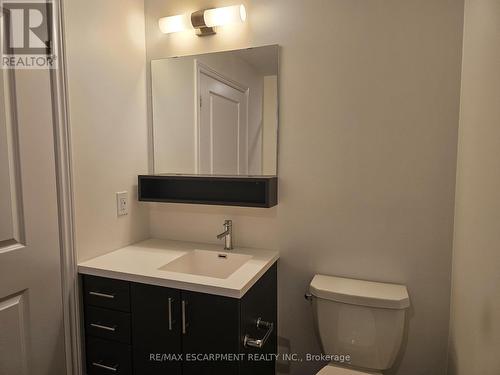 308 - 121 Highway 8 N, Hamilton, ON - Indoor Photo Showing Bathroom