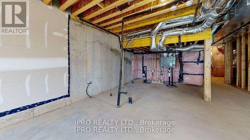 114 Winters Way, Shelburne, ON - Indoor Photo Showing Basement