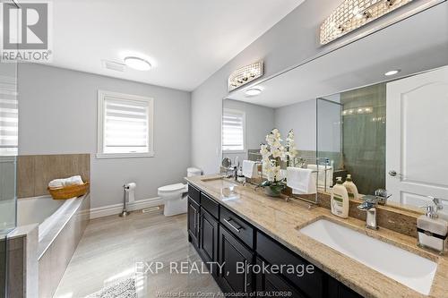 6268 Disputed Road, Lasalle, ON - Indoor Photo Showing Bathroom