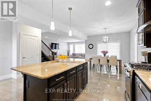 6268 Disputed Road, Lasalle, ON - Indoor Photo Showing Kitchen With Upgraded Kitchen