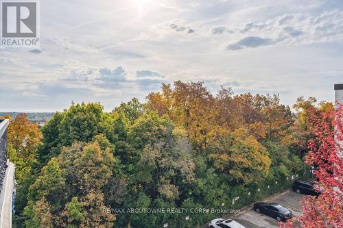 161 - 1066 Falgarwood Drive, Oakville, ON - Outdoor With View