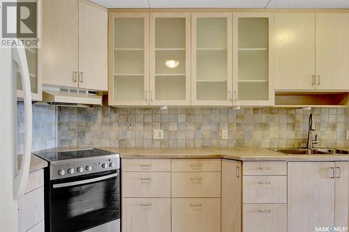 501 3520 Hillsdale Street, Regina, SK - Indoor Photo Showing Kitchen With Double Sink