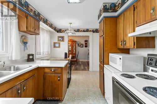 289 Whiting Street, Ingersoll (Ingersoll - South), ON - Indoor Photo Showing Kitchen With Double Sink