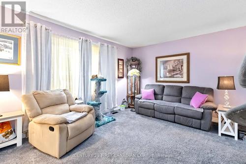 289 Whiting Street, Ingersoll (Ingersoll - South), ON - Indoor Photo Showing Living Room