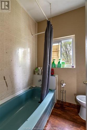 718 Caron Avenue, Windsor, ON - Indoor Photo Showing Bathroom