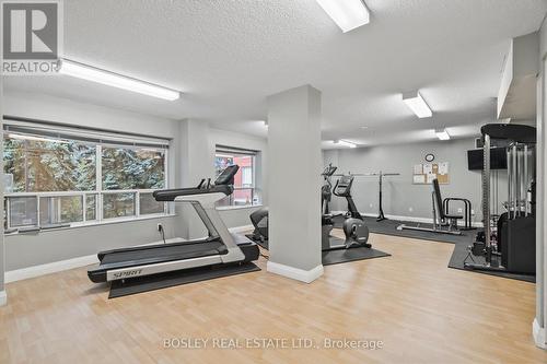 412 - 300 Balliol Street, Toronto, ON - Indoor Photo Showing Gym Room