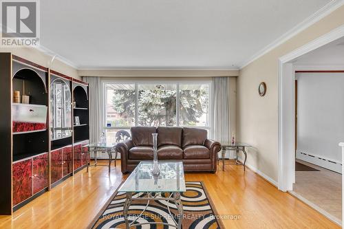 167 Regina Avenue, Toronto, ON - Indoor Photo Showing Living Room