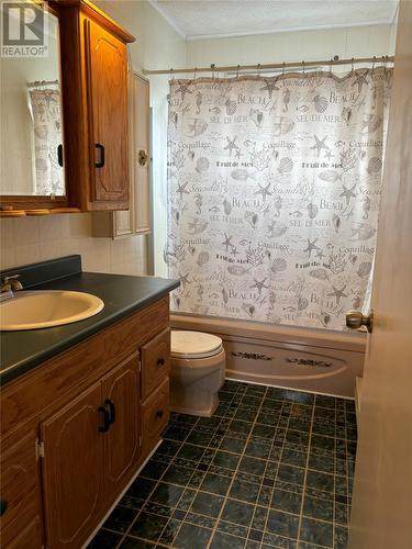 96 Main Street, Lumsden, NL - Indoor Photo Showing Bathroom