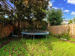 Backyard - 