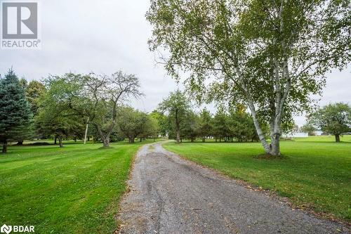 1424 County Rd 3 Road, Prince Edward County, ON - Outdoor