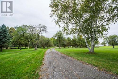 1424 County Rd 3, Prince Edward County (Ameliasburgh), ON - Outdoor