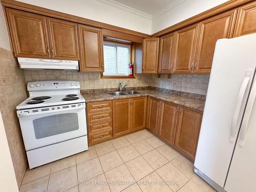 Main-133 Cavell Ave, Hamilton, ON - Indoor Photo Showing Kitchen With Double Sink