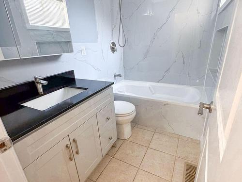 Main-133 Cavell Ave, Hamilton, ON - Indoor Photo Showing Bathroom