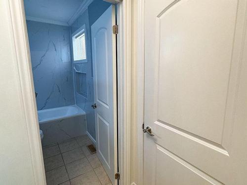 Main-133 Cavell Ave, Hamilton, ON - Indoor Photo Showing Bathroom