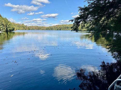 Bord de l'eau - 60 Rue Du Tour-Du-Lac, Gore, QC - Outdoor With Body Of Water With View