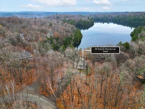 Vue d'ensemble - 60 Rue Du Tour-Du-Lac, Gore, QC - Outdoor With Body Of Water With View